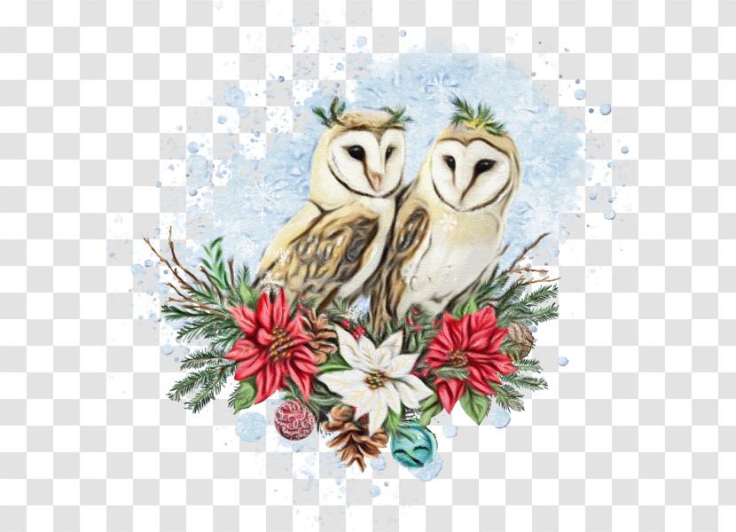 Owl Bird Bird Of Prey Barn Owl Snowy Owl Transparent PNG