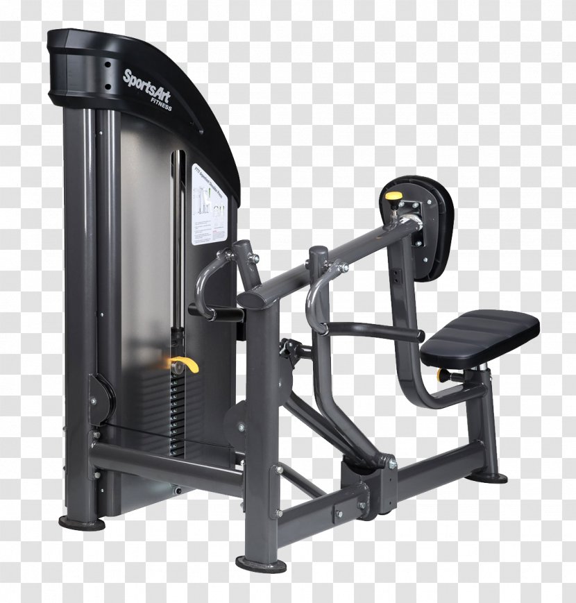 Row Exercise Machine Bench Pulldown Fly - Gym - Dumbbell Transparent PNG