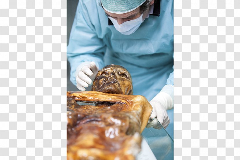 Eurac Research Ötzi Mummy Tattoo Bioarchaeology - Bolzano - The Transparent PNG