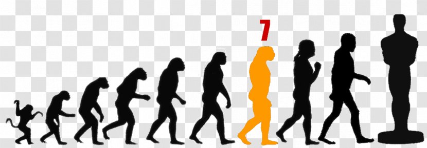 Human Evolution Europe Darwinism Homo Sapiens - Hand Transparent PNG