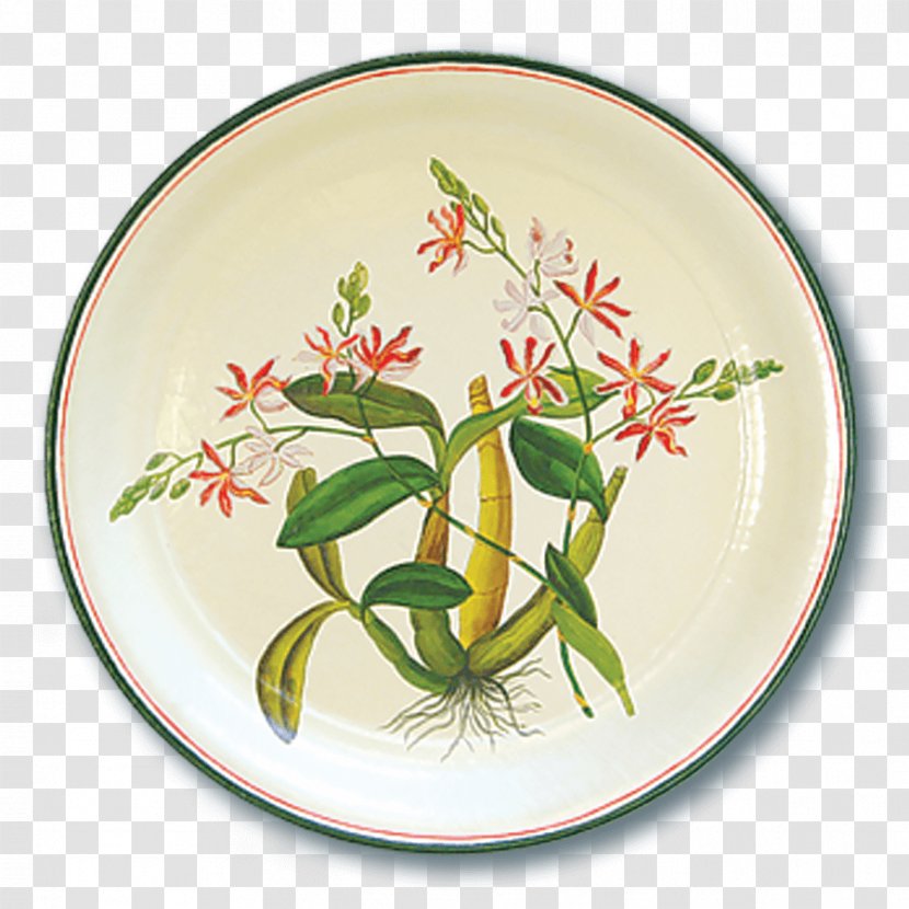 Plate Platter Flowerpot Tableware - Lady's Slipper Orchids Transparent PNG