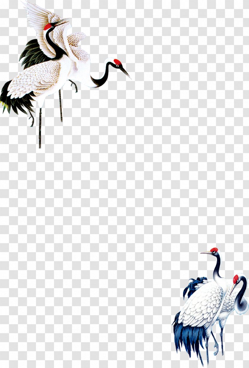 Red-crowned Crane Bird Euclidean Vector - Ducks Geese And Swans Transparent PNG