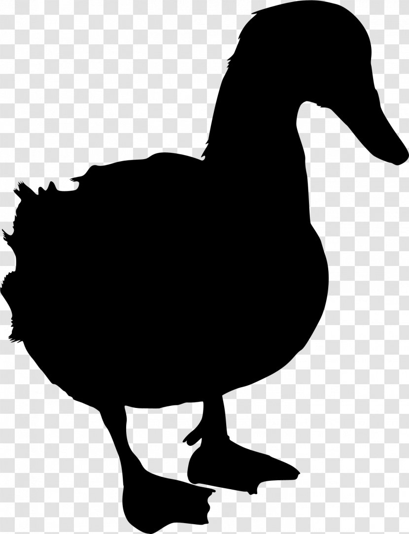 Duck Goose Clip Art Silhouette Fauna - Flightless Bird Transparent PNG
