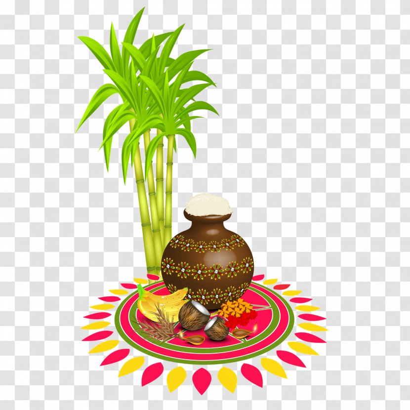 Thai Pongal Makar Sankranti Bhogi Wish - Food - Sugar Transparent PNG