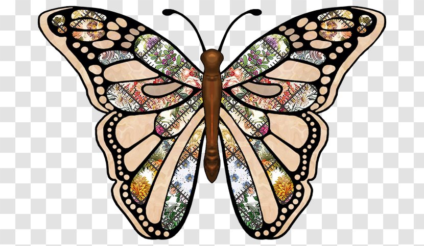 Monarch Butterfly Drawing - Paper Craft - Wing Papilio Transparent PNG