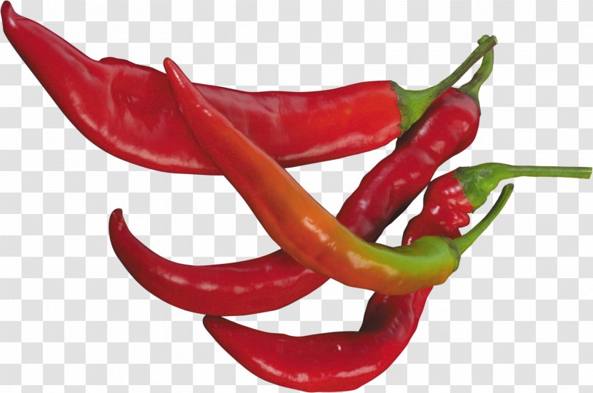 Chili Pepper Cayenne Serrano Jalapeño Bell - Tabasco - Red Image Transparent PNG