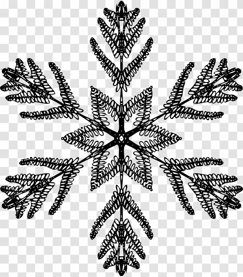 Black And White Snowflake Crystallization Symmetry - Leaf Transparent PNG