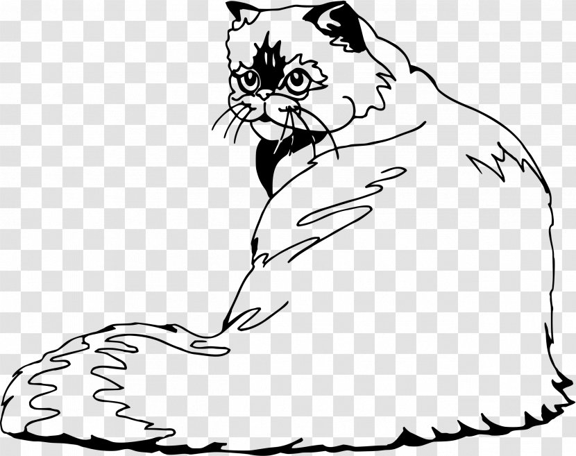 Kitten Whiskers Domestic Short-haired Cat Himalayan Wildcat - Cartoon Transparent PNG