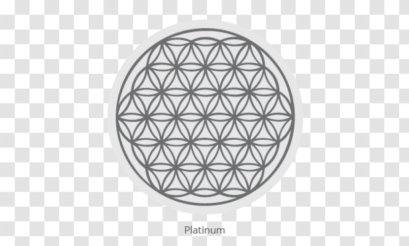 Sacred Geometry Overlapping Circles Grid Art - Flower Of Life Pattern Transparent PNG