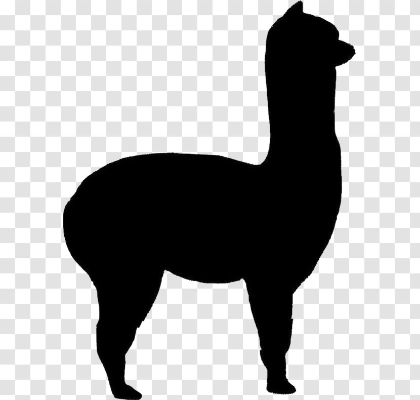 Llama Cartoon - Drawing - Blackandwhite Tail Transparent PNG