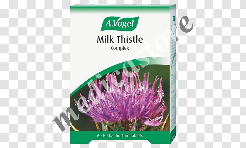 Dietary Supplement Milk Thistle Tablet Tincture Transparent PNG