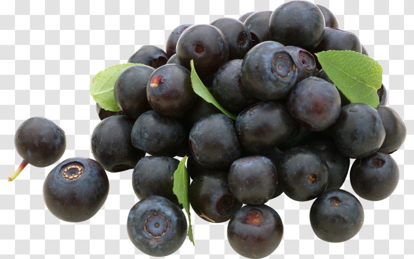 Grape Blueberry Tea Bilberry Huckleberry - Zante Currant Transparent PNG