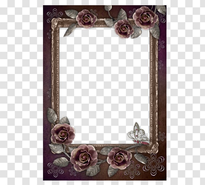 Black Rose Film Frame - Flower Transparent PNG