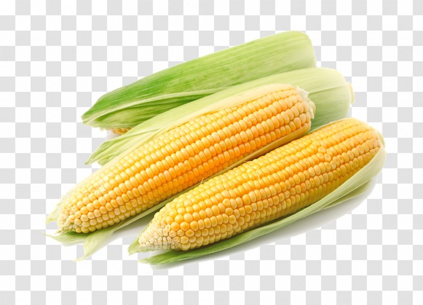 Maize Cereal Crop Yield Capsicum Cultivar - Corn. Transparent PNG
