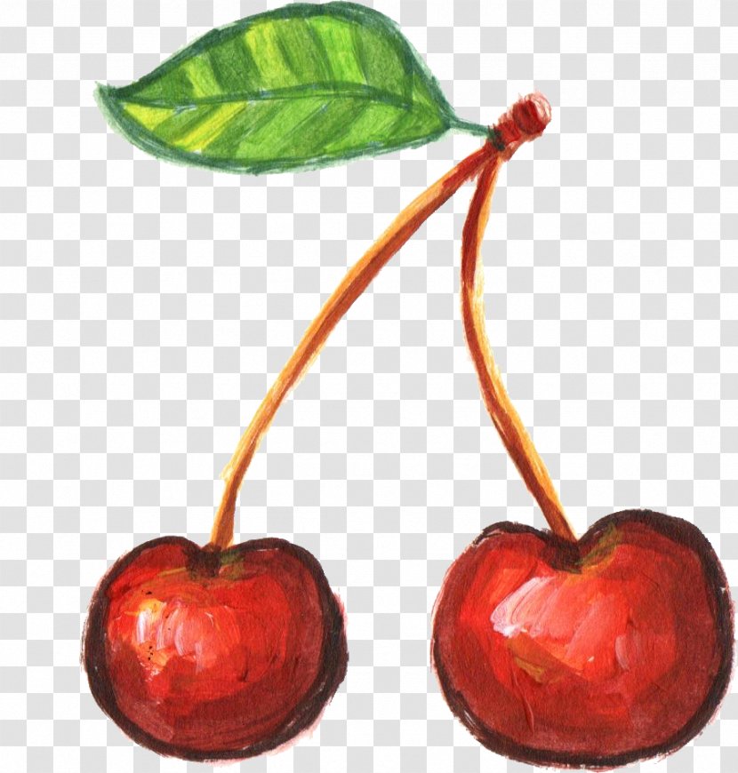 Cherry Fruit Food - Pitaya Transparent PNG
