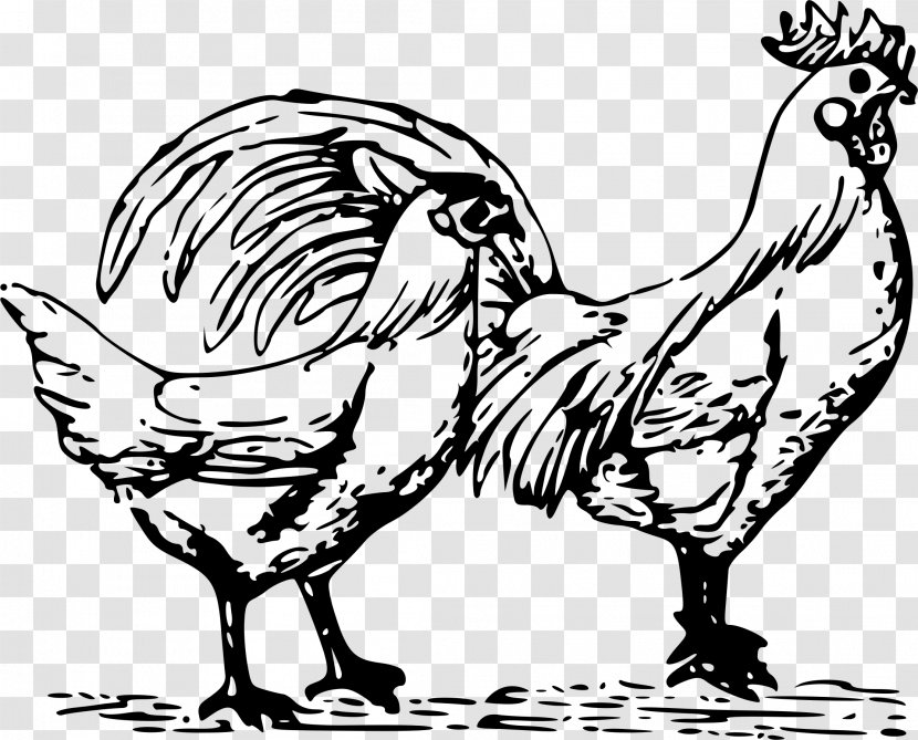 Chicken Drawing Clip Art - Monochrome Transparent PNG