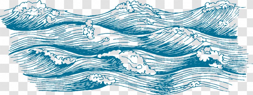 Euclidean Vector Wave Seawater - Marine Mammal Transparent PNG