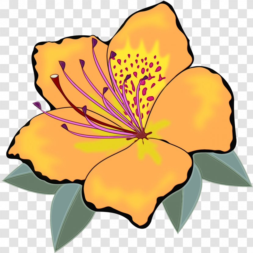 Flowering Plant Petal Flower Yellow Clip Art - Hibiscus Leaf Transparent PNG