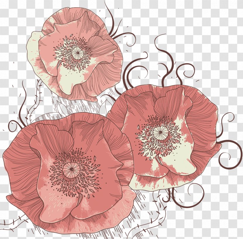 Flower Line Poppy - Cut Flowers - Peony Transparent PNG
