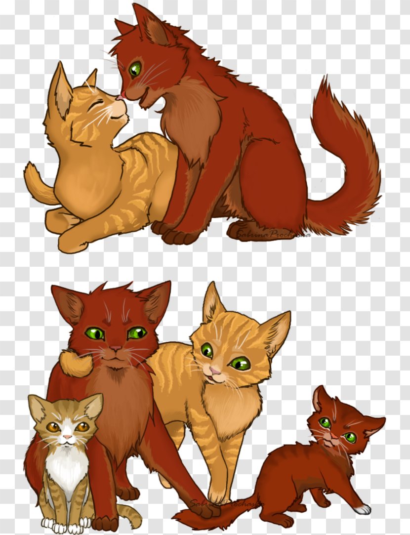Firestar Cat Warriors Leafpool Squirrelflight Transparent PNG