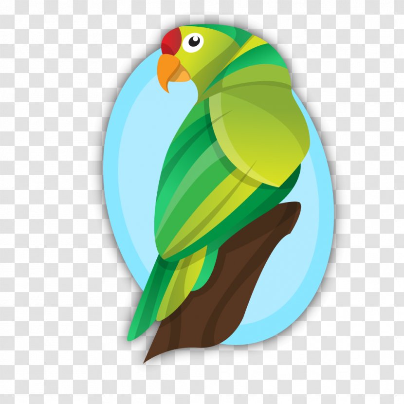 Parrot Bird - Organism - Vector Cartoon Transparent PNG