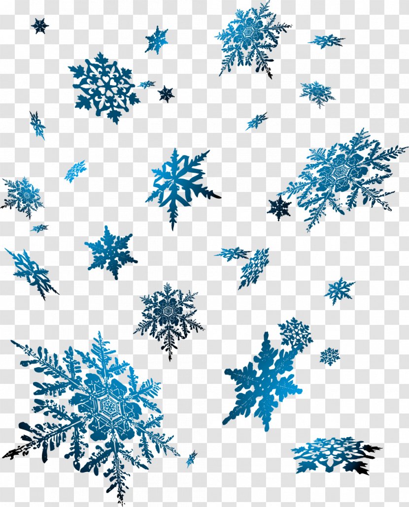Snowflake - Symmetry - Vector Snowflakes Transparent PNG