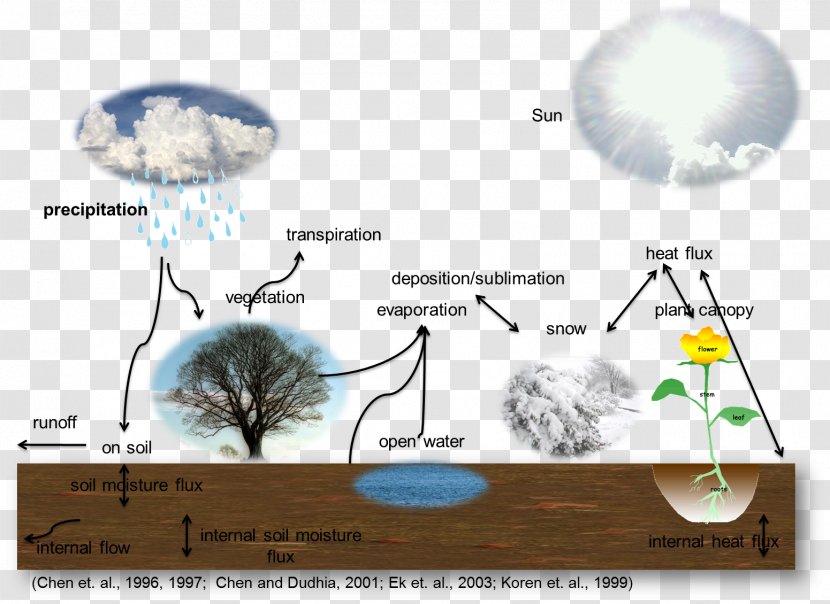 Water Cycle Evapotranspiration Soil Geosphere Plant Transparent PNG