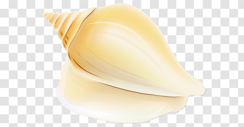 Shankha Conch Shell Beige - Wet Ink Transparent PNG
