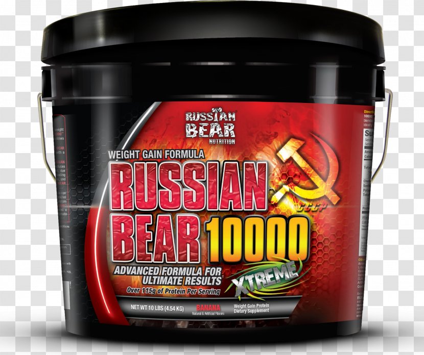 Dietary Supplement Bodybuilding Gainer Russian Bear Nutrition Transparent PNG