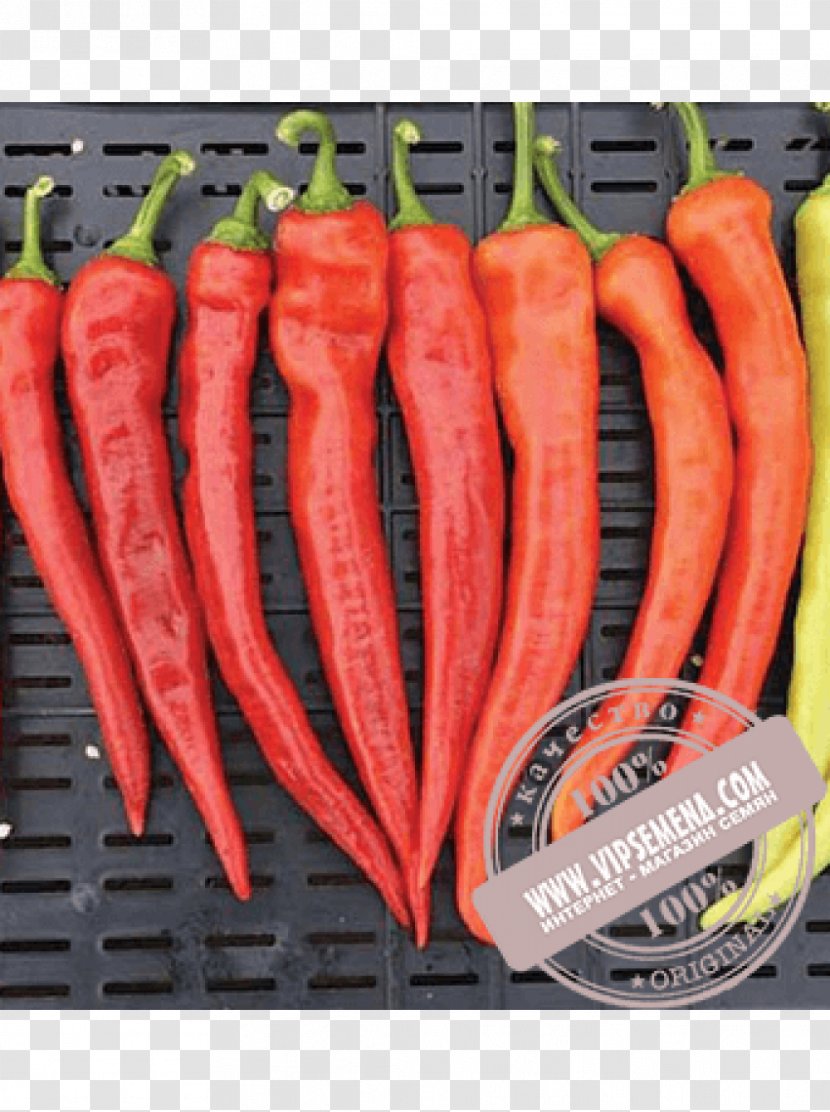 Bird's Eye Chili Chile De árbol Serrano Pepper Tabasco Cayenne - Capsicum Annuum - Paprika Transparent PNG