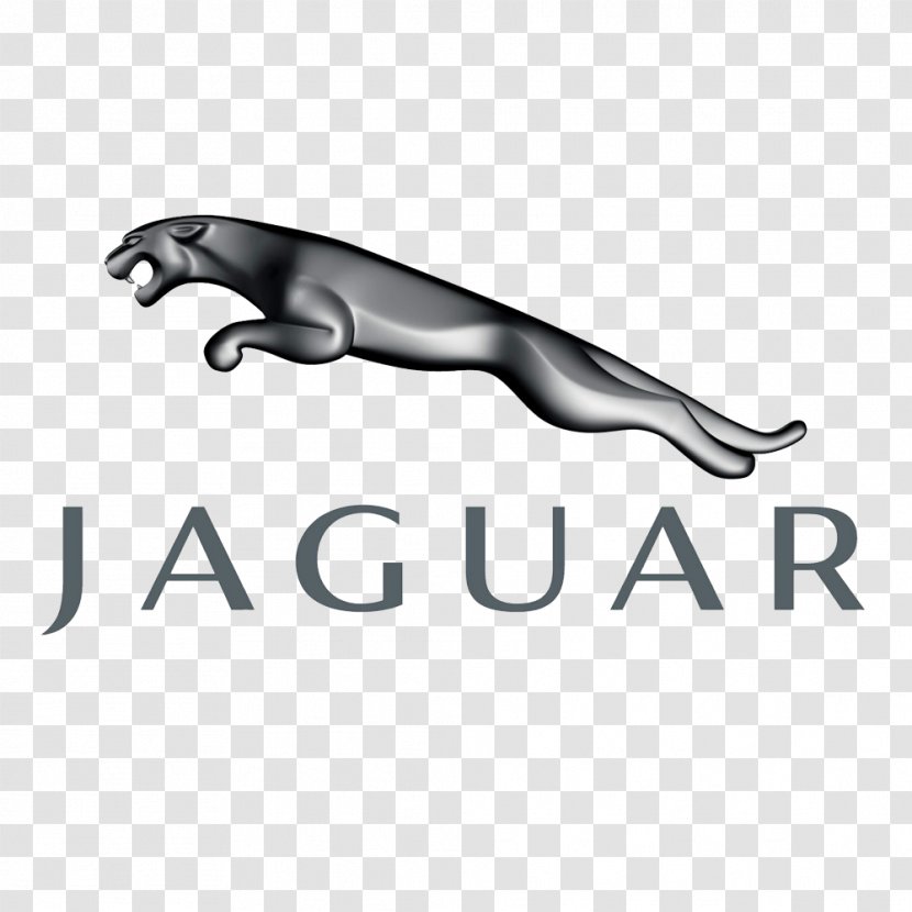 Jaguar Cars Land Rover F-Type - Mammal Transparent PNG