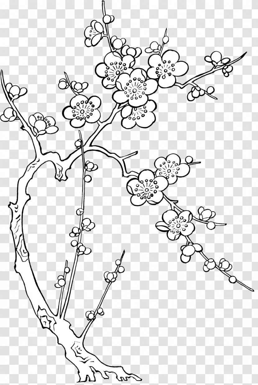 Painting Drawing Lunar New Year Image Ochna Integerrima - Plant - Bare Poster Transparent PNG