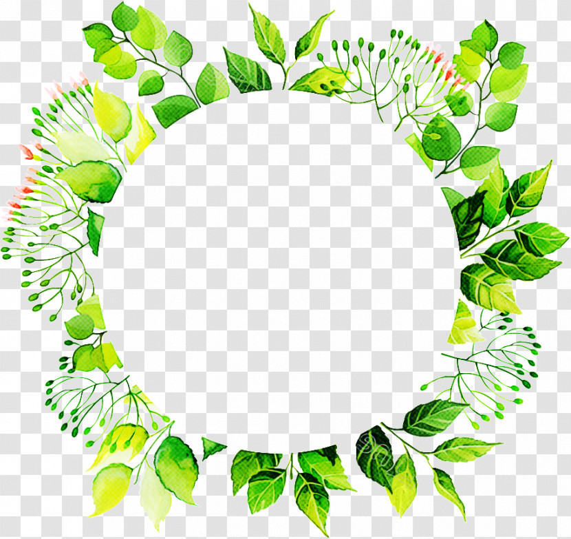 Green Leaf Circle Plant Flower Transparent PNG