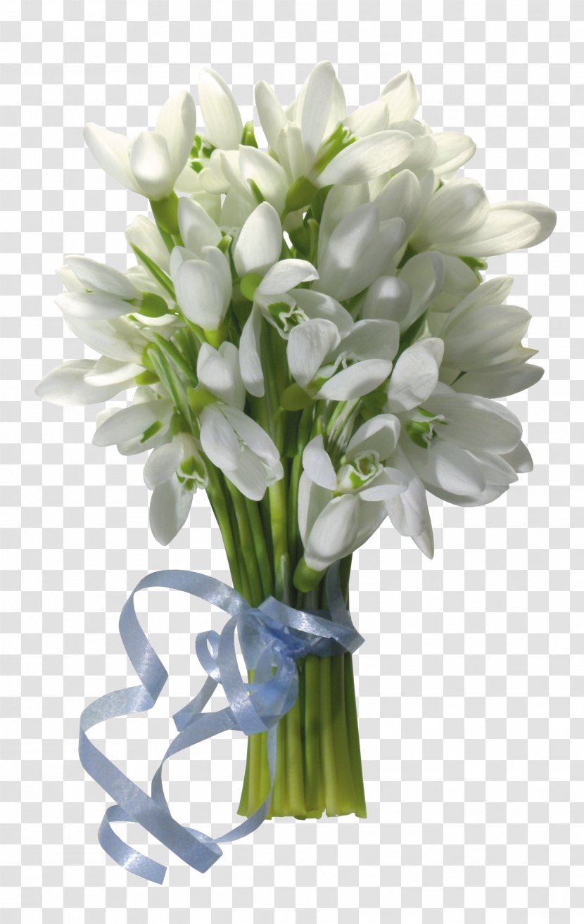 Snowdrop Flower Bouquet Desktop Wallpaper - Floral Design - Crocus Transparent PNG
