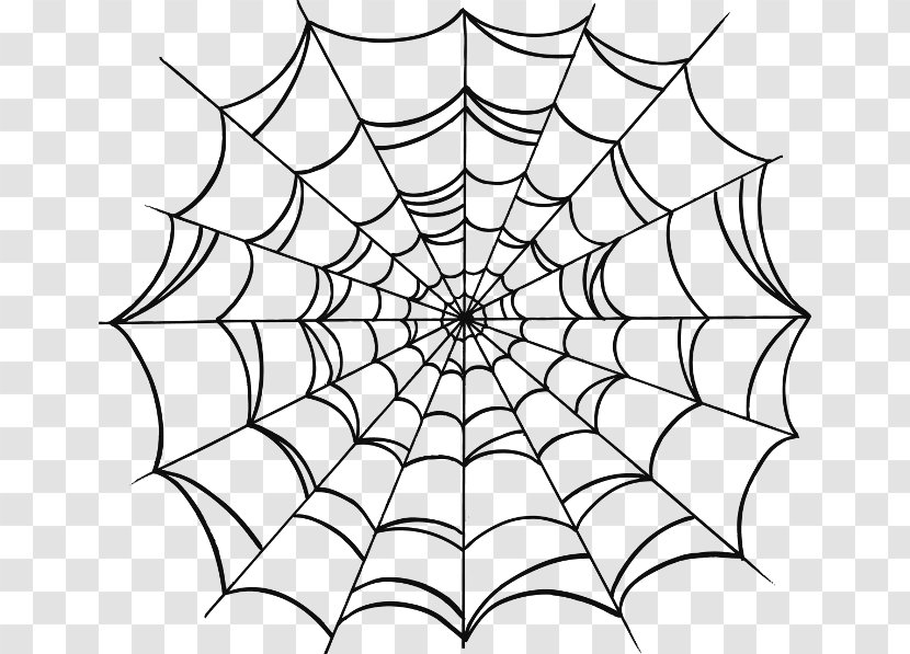 Spider Web Drawing Clip Art Transparent PNG