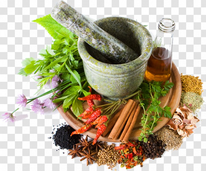Herbalism Medicine Pharmaceutical Drug Alternative Health Services - Vegetarian Food Transparent PNG