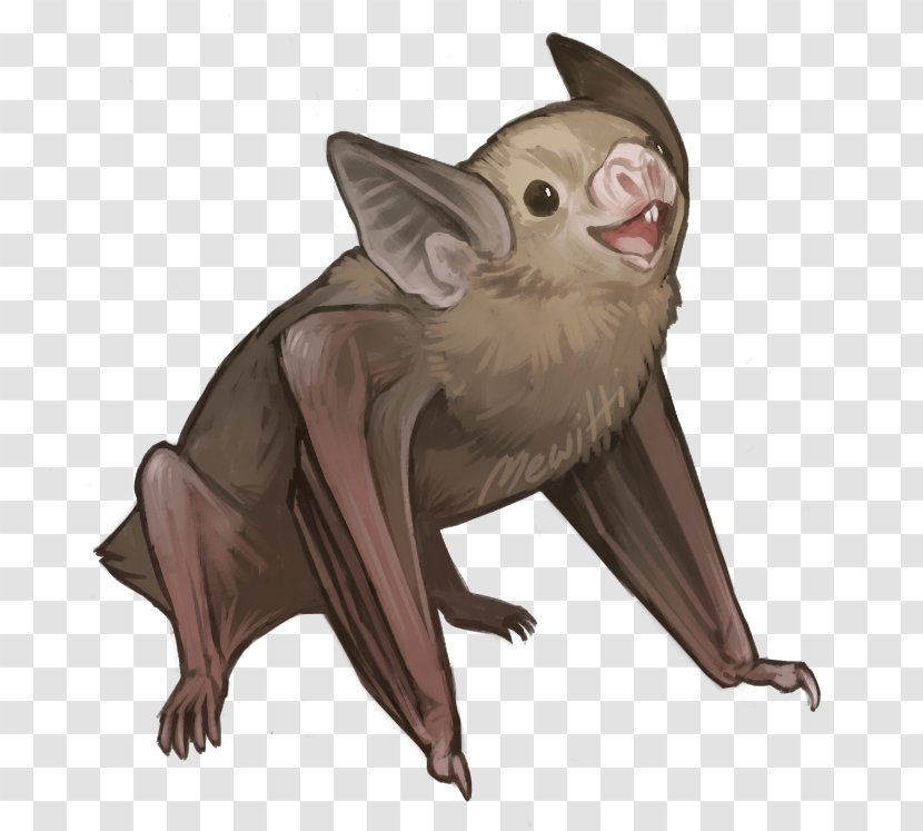 Greater False Vampire Bat Kitti's Hog-nosed Honduran White Drawing Transparent PNG