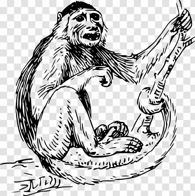 Ape Capuchin Monkey Clip Art - Tree - Black Transparent PNG