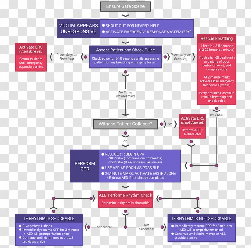 Pediatric Basic Life Support Advanced Pediatrics - Resuscitation - Communication Transparent PNG