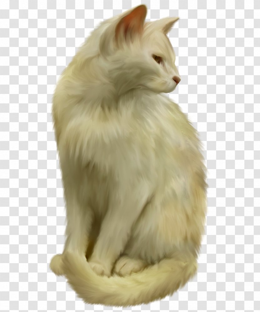 Balinese Cat Turkish Angora Norwegian Forest Van Asian Semi-longhair - Whiskers - Cats Transparent PNG