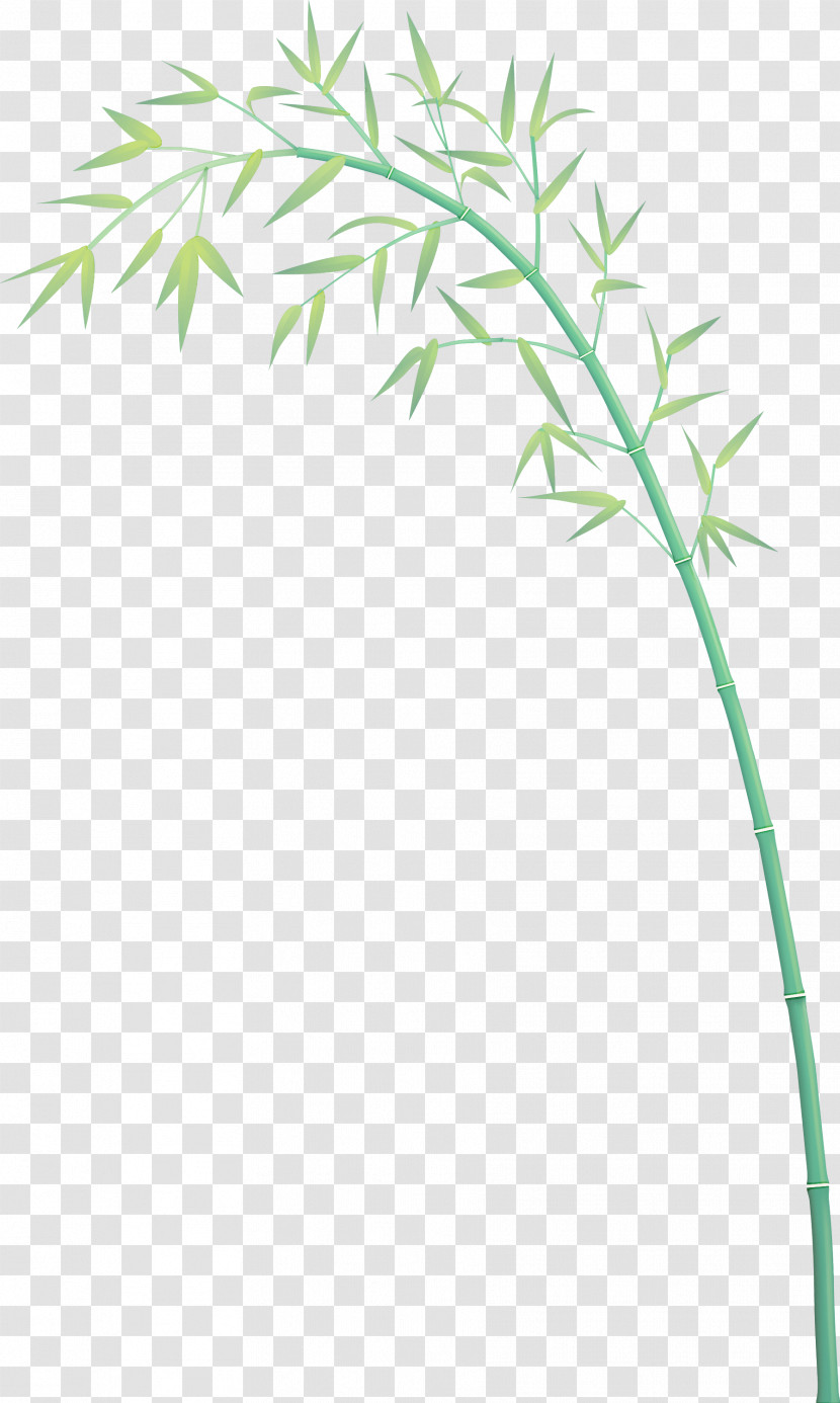 Bamboo Leaf Transparent PNG