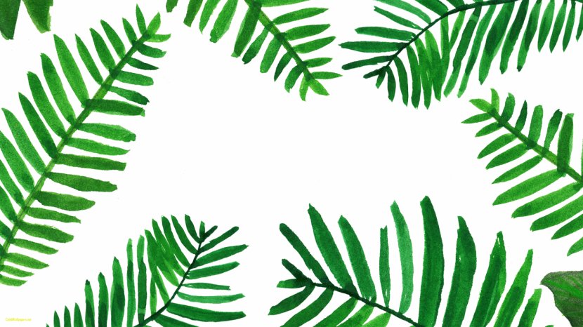 Desktop Wallpaper Palm Branch Leaf Arecaceae Computers - Tree - Leaves Transparent PNG