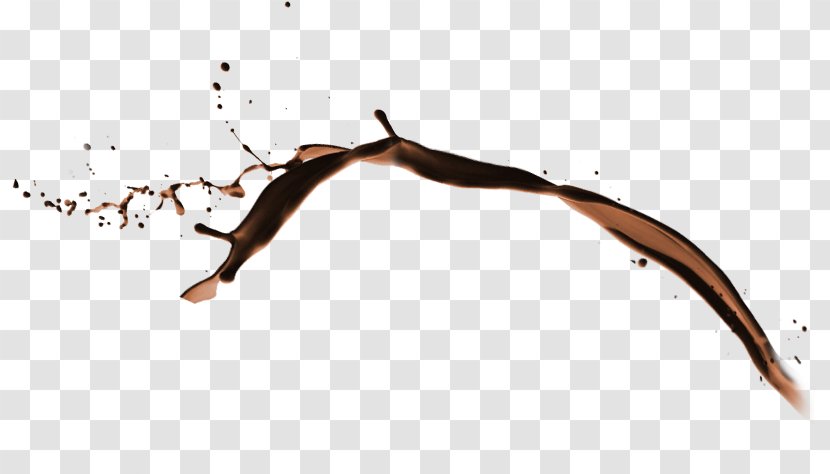 Chocolate - Branch - Material Free Download Transparent PNG