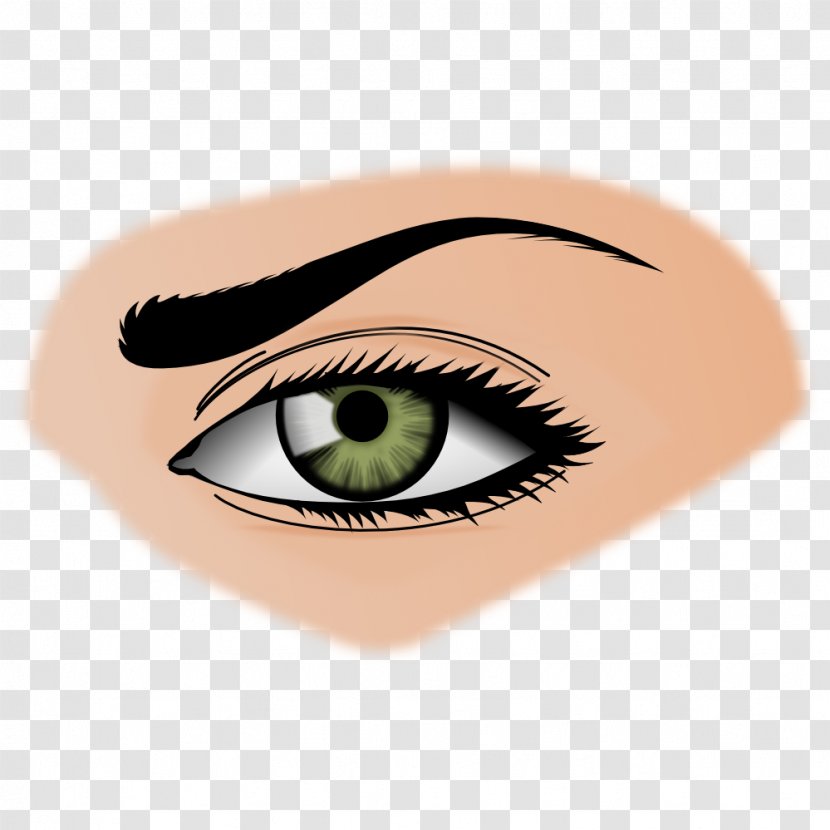 Eye Clip Art - Cartoon - Image Transparent PNG
