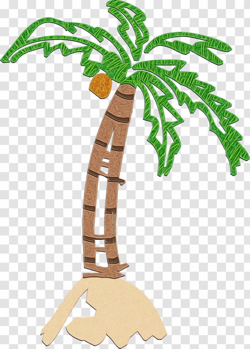 Palm Tree - Plant - Root Arecales Transparent PNG