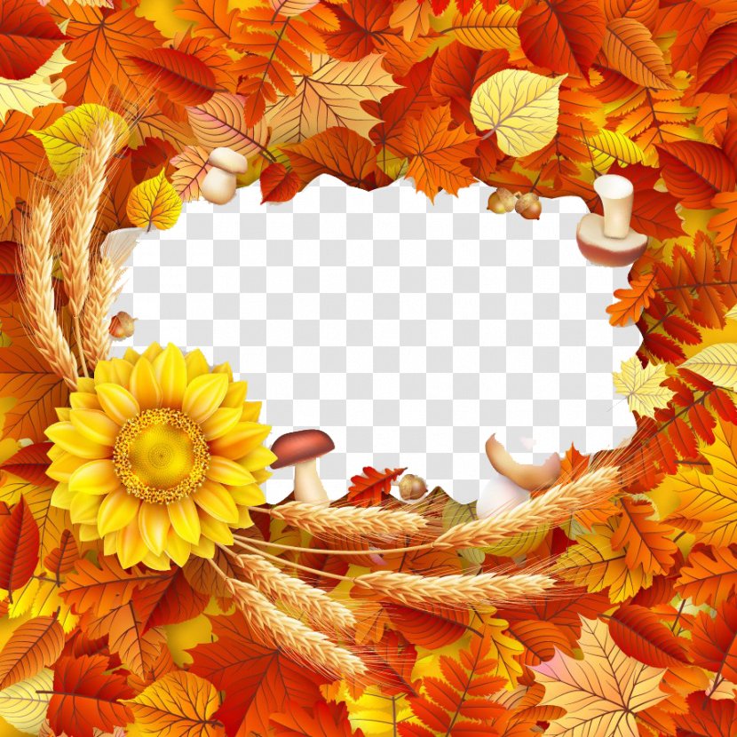 Paper Illustration - Royaltyfree - Autumn Harvest Fruits Creatives Transparent PNG
