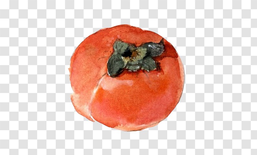 Persimmon Berry Watercolor Painting Fruit - Food Spoilage - Winter Stock Image Transparent PNG