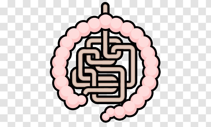 Stressor Anxiety Intestine Health - Cartoon - Intestines Transparent PNG