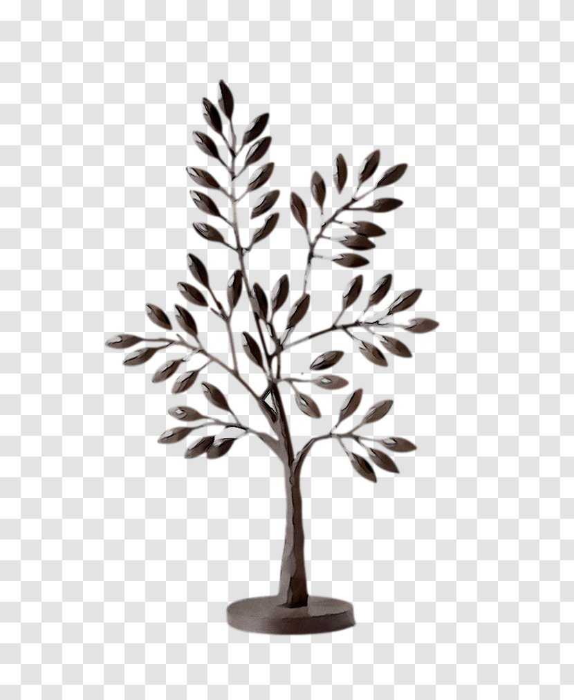 Twig Plant Stem Leaf Plants - Woody Transparent PNG