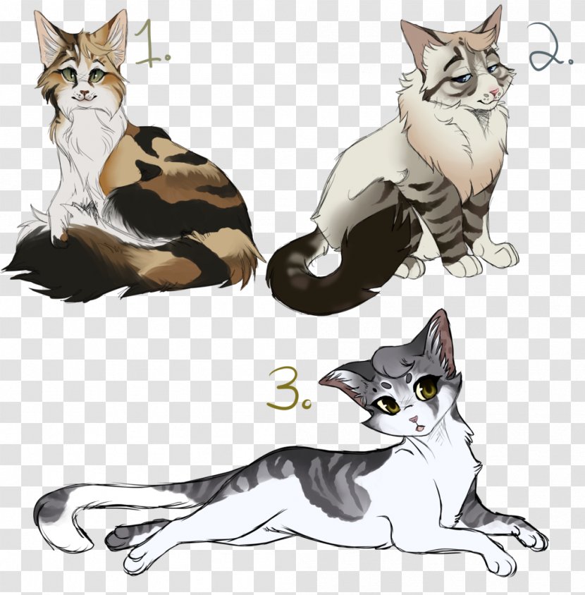 Kitten American Wirehair Whiskers Wildcat Domestic Short-haired Cat - Shorthaired - Drawings Of Go Fight Win Transparent PNG